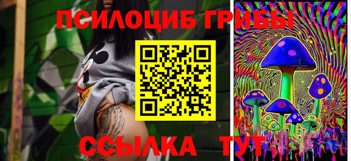 Галлюциногенные грибы Psilocybe  Вход с VPN  Белореченск  Галлюциногенные грибы мухоморы 